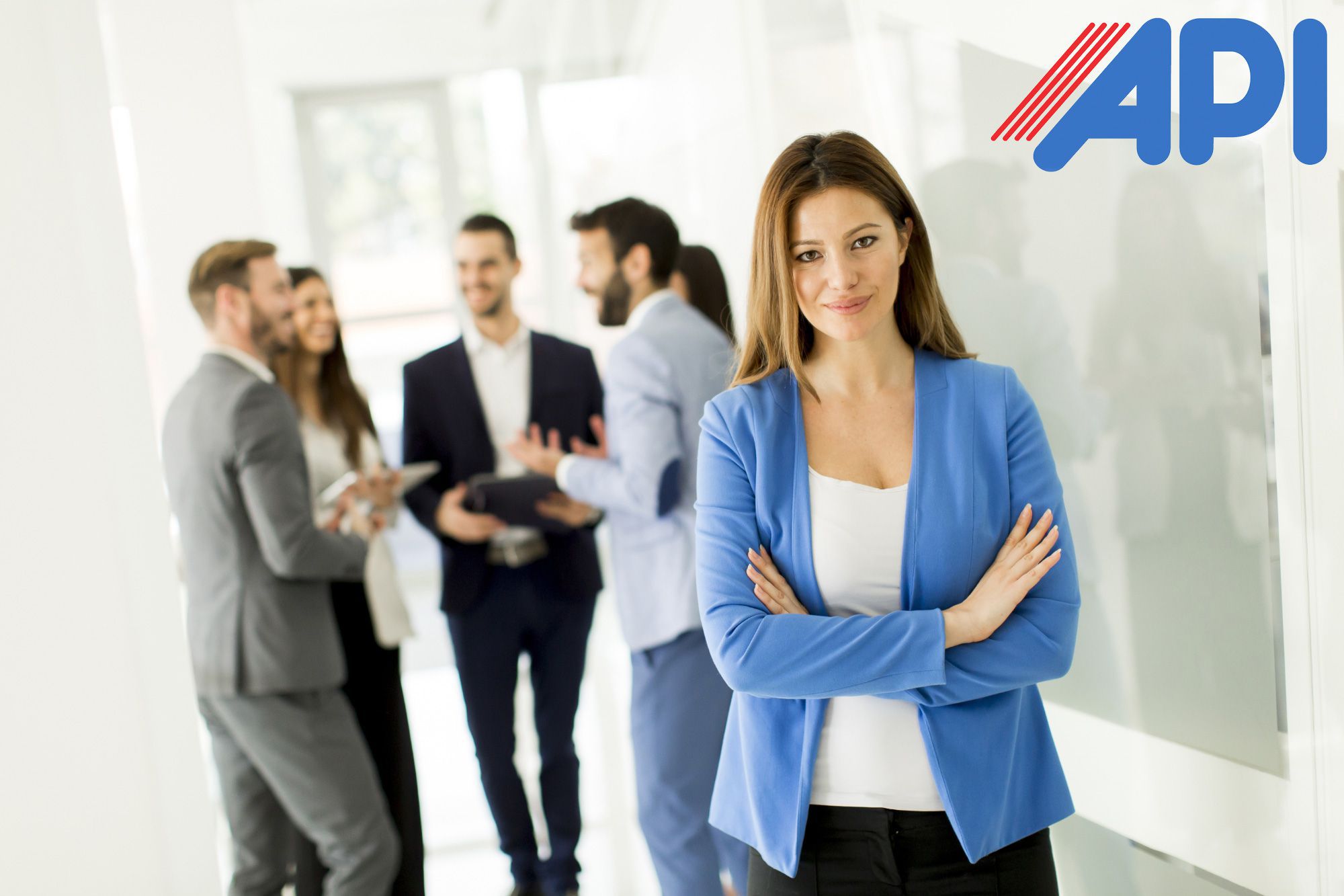 Ventajas de trabajar con un Api. VICENTE ROJO SL PROFESIONAL en Madrid