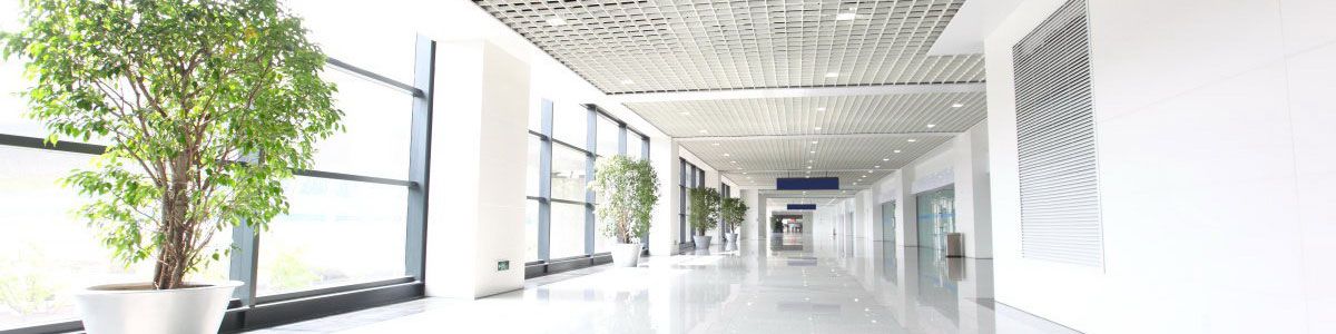  Tenemos hoteles y otros negocios en Madrid. VICENTE ROJO SL PROFESIONAL en Madrid